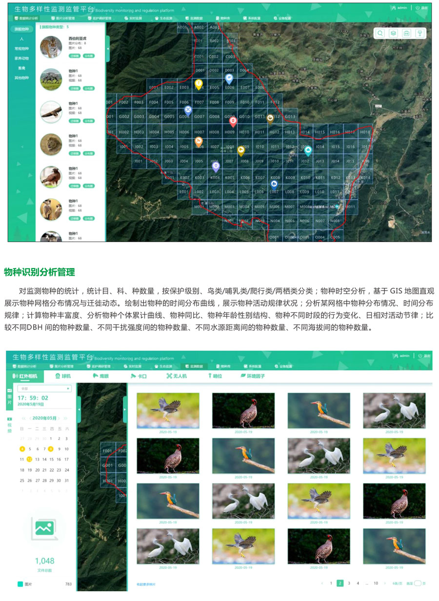動物多樣性可視化管理平臺 野生動物識別監管系統云平臺